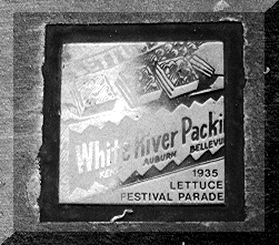 1935 Lettuce Festival