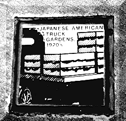 Japanese American Truck Farmers